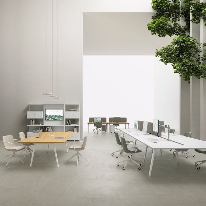 Open space: zone, liniște și posturi de lucru care rezistă
