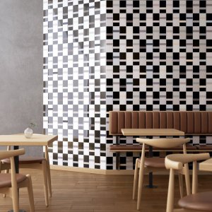 Diarama în referința Blush Dark