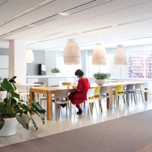 Scaune design de la Arper: colecția Juno 02