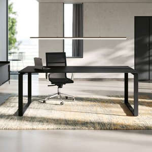 Elementul 30° al corpurilor de serviciu Loft