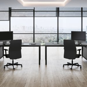 Corp Sigma din colecția D1
