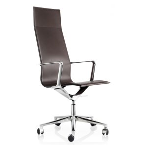 Kuna Chair de la ICF Office într-un birou de conducere