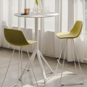 Finisaj nuc Canaletto pe șezutul Miunn